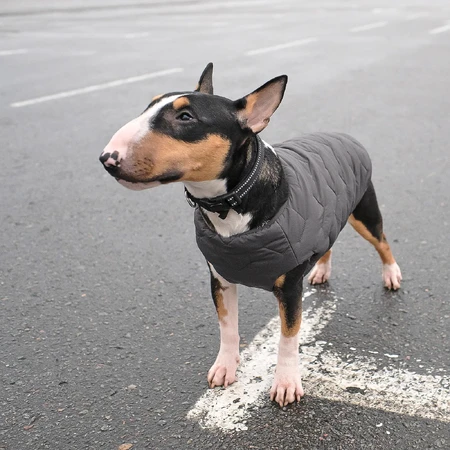 Жилет для животных Pet Fashion "E.Vest" M серый: цены и характеристики