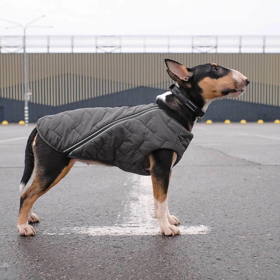 Жилет для животных Pet Fashion "E.Vest" M серый: цены и характеристики
