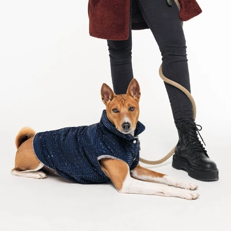 Жилет для тварин Pet Fashion LUCKY L синій: ціни та характеристики