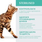 Сухой корм для кошек Optimeal для стерилизованных/кастрированных индейка и овес 1.5 кг: цены и характеристики