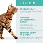 Сухий корм для котів Optimeal для стерилізованих/кастрованих індичка та овес 650 г: ціни та характеристики