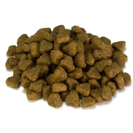 Сухий корм для собак Arquivet Fresh Meat Dog Adult Mini 10 кг: ціни та характеристики
