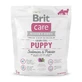 Сухой корм для собак Brit Care GF Puppy Salmon and Potato 1 кг