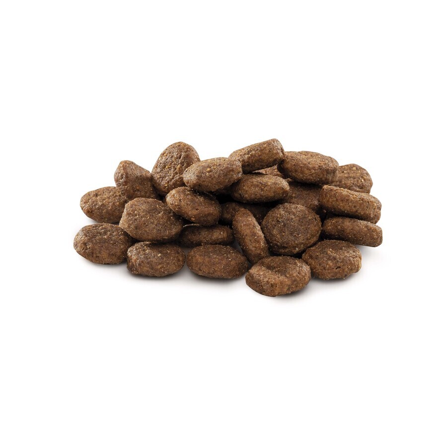 Сухой корм для собак Brit Premium Dog Junior L 3 кг: цены и характеристики