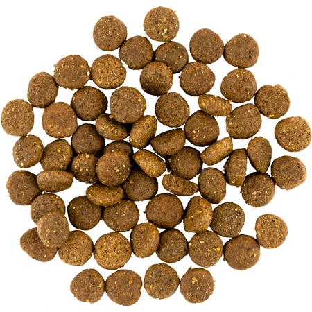 Сухой корм для собак Savory Puppy rich in Fresh Turkey and Chicken 12 кг: цены и характеристики