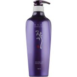 Тонизирующий шампунь для жирных волос Daeng Gi Meo Ri ChungEun Shampoo For Oily Scalp