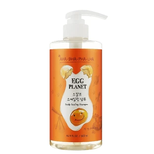 Шампунь для очищения кожи головы Daeng Gi Meo Ri Egg Planet Scalp Scaling Shampoo 500 ml