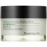Відновлювальний бальзам-крем для чутливої шкіри Pyunkang Yul Calming Moisture Repair Balm, 30 мл