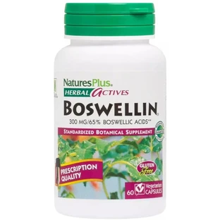 Босвелін, 300 мг, Boswellin, Herbal Actives, Natures Plus, 60 вегетаріанських капсул