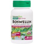 Босвелін, 300 мг, Boswellin, Herbal Actives, Natures Plus, 60 вегетаріанських капсул: ціни та характеристики