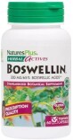 Босвелин, 300 мг, Boswellin, Herbal Actives, Natures Plus, 60 вегетарианских капсул
