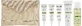 Набір Christina Bio Phyto Travel Kit (cr/2x15ml + serum/15ml + gel/50ml + toner/40ml)