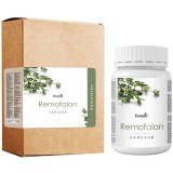 Ремофалон (REMOFALON) Диетическая добавка 2*30шт