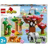 Конструктор LEGO DUPLO Town Дикие животные Азии 117 деталей