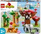 Конструктор LEGO DUPLO Town Дикие животные Азии 117 деталей