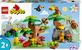 Конструктор LEGO DUPLO Дикие животные Южной Америки