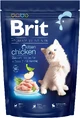 Brit