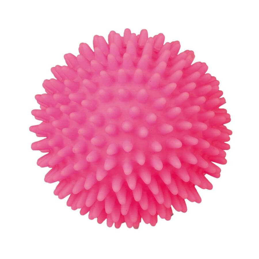 Іграшка для собак Trixie М'яч голчастий з пискавкою d 10 см, кольори в асортименті: ціни та характеристики