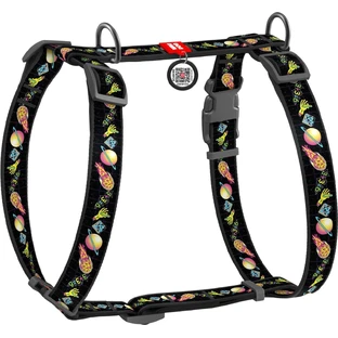 Шлей для собак WAUDOG Nylon с QR паспортом анатомическая H-образная "Год и Морти 3" S