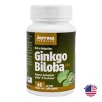 Гінкго Білоба, 60 мг, 60 капсул: ціни та характеристики