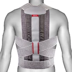 Корректор осанки Ottobock Dorso Carezza Posture 50R49-M: цены и характеристики
