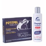 Набір догляд Valquer Відновлення волосся Placenta Capillary Lotion + Placenta Shampoo, з плацентою