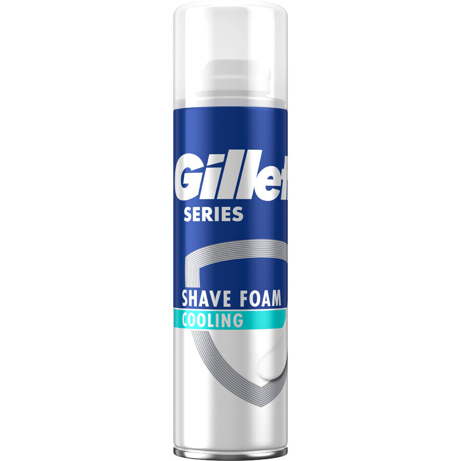 Піна для гоління Gillette Series Охолоджуюча з евкаліптом 250 мл: ціни та характеристики