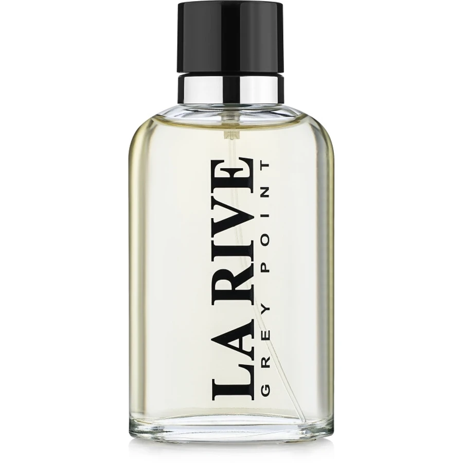 Туалетная вода La Rive Grey Point 90 мл: цены и характеристики
