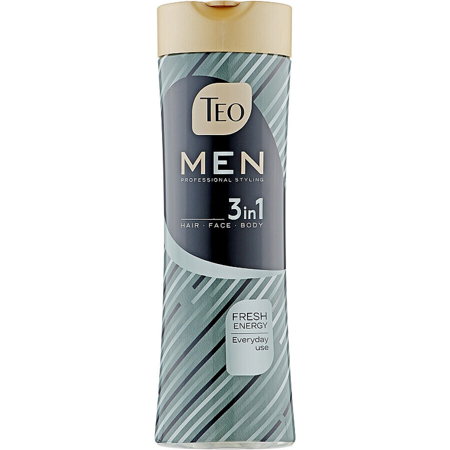 Шампунь Teo Beauty Men 3 In 1 Shampoo Fresh Energy 350 мл: цены и характеристики