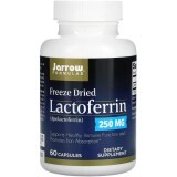 Лактоферин сублімований, 250 мг, Lactoferrin, Freeze Dried, Jarrow Formulas, 60 капсул