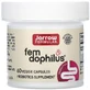 Пробіотики Для Жінок, Жіночий дофілус, 1 млрд КУО, Women's Fem Dophilus, Jarrow Formulas, 60 вегетаріанських капсул
