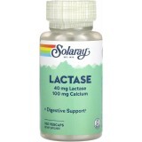 Лактаза, 40 мг, Lactase, Solaray, 100 вегетарианских капсул
