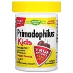 Пробіотики для дітей від 2 до 12 років, 3 млрд КУО, смак вишні, Primadophilus, Kids, Age 2-12, Nature's Way, 60 жувальних таблеток: ціни та характеристики