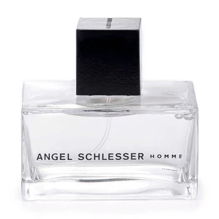 Туалетная вода Angel Schlesser Homme, мужская, 125 мл