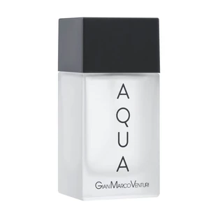Туалетная вода Gian Marco Venturi Aqua, мужская, 100 мл
