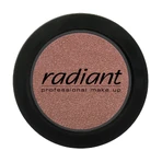 Румяна Radiant Blush Color тон 102, 4 г: цены и характеристики