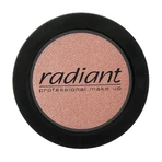 Рум'яна Radiant Blush Color тон 109, 4 г: ціни та характеристики