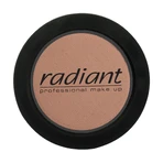 Румяна Radiant Pure Matt Blush Color 04 Tan, 4 г: цены и характеристики