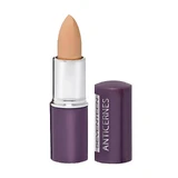 Корректор-стик Seventeen Anticernes тон 7, 4.8г