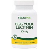 Лецитин из Яичного Желтка 600 мг, Natures Plus, 180 капсул