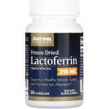 Лактоферрин сублимированный, 250 мг, Lactoferrin, Freeze Dried, Jarrow Formulas, 30 капсул