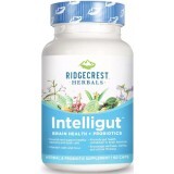 Комплекс для здоровья мозга с пробиотиком, Интеллигут, Intelligut, RidgeCrest Herbals, 60 капсул