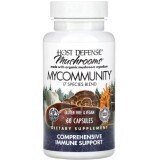 Підтримка імунітету, комплекс із 17 грибів, Mushrooms, Comprehensive Immune Support, Fungi Perfecti, 60 капсул