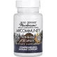 Підтримка імунітету, комплекс із 17 грибів, Mushrooms, Comprehensive Immune Support, Fungi Perfecti, 30 капсул