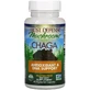 Чага, Chaga, Fungi Perfecti, 60 вегетаріанських капсул