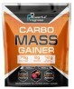 Гейнер Carbo Mass Gainer, Forest Fruit, 2000 г