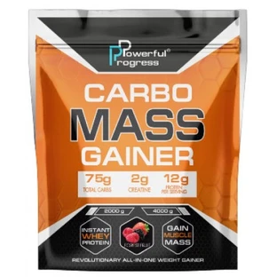 Гейнер Carbo Mass Gainer, Forest Fruit, 4000 г
