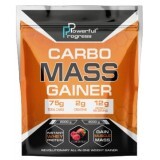 Гейнер Carbo Mass Gainer, Forest Fruit, 4000 г
