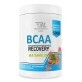 Аминокислоты Bodyperson Labs BCAA Recovery, Watermelon, 500 г