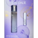 Набор CAUDALIE (Кадали) Ange des Vignes Вода парфюмированная 50 мл + кондиционер для губ антиоксидант 4,5 г: цены и характеристики